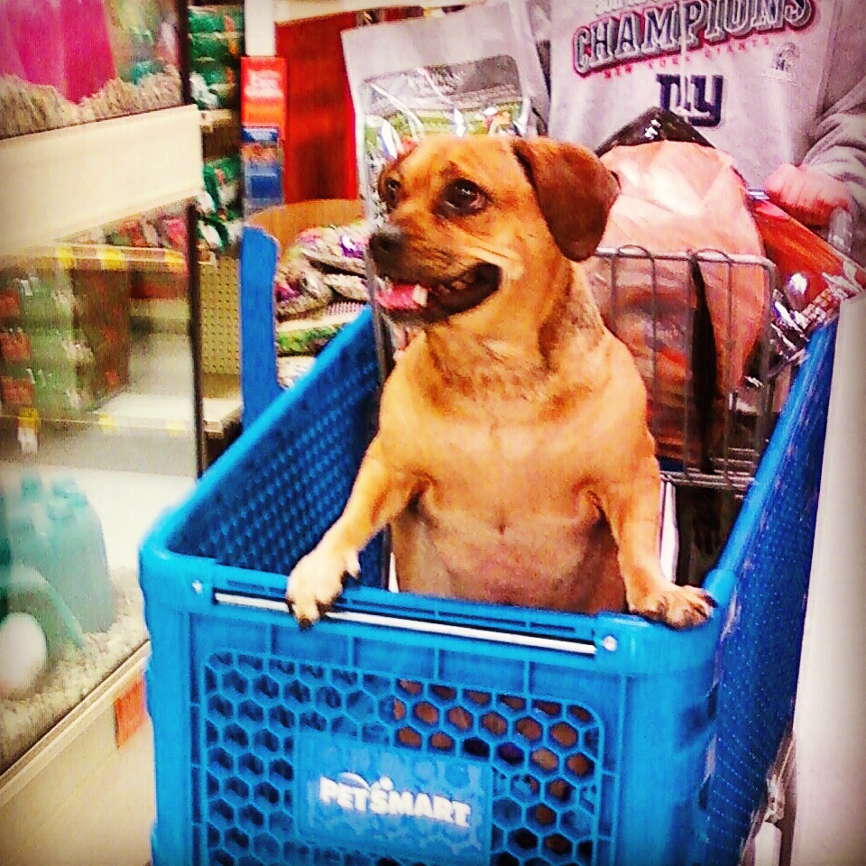 Set Lineup 35 Superflex Best Ball Tourney Live 54828